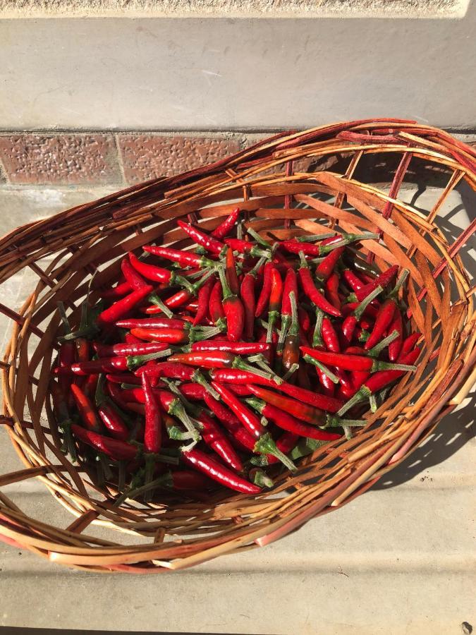 مبيت وإفطار كاستيلاّماري دي ستا Il Giardino Di Nonno Agostino المظهر الخارجي الصورة