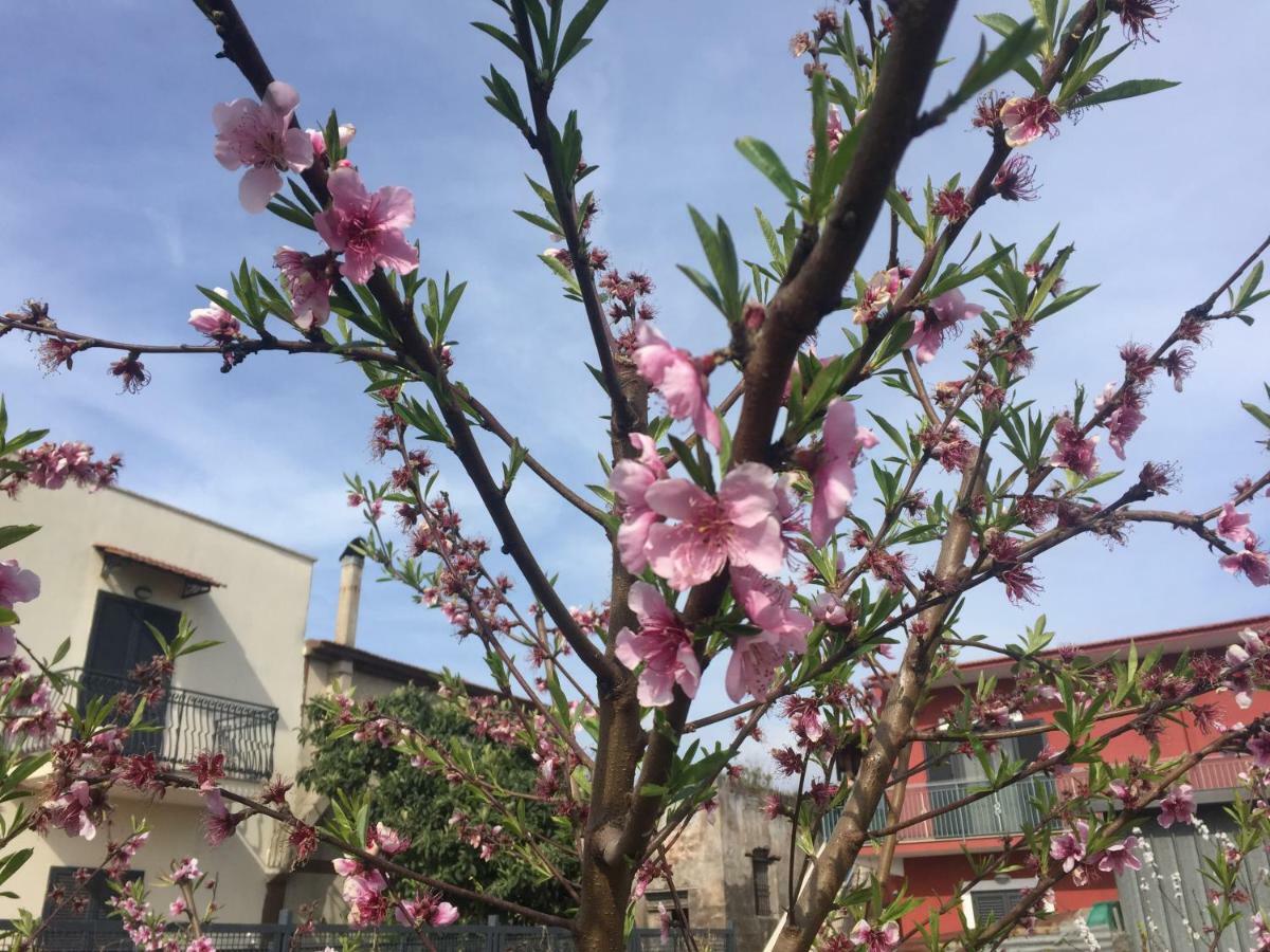 مبيت وإفطار كاستيلاّماري دي ستا Il Giardino Di Nonno Agostino المظهر الخارجي الصورة