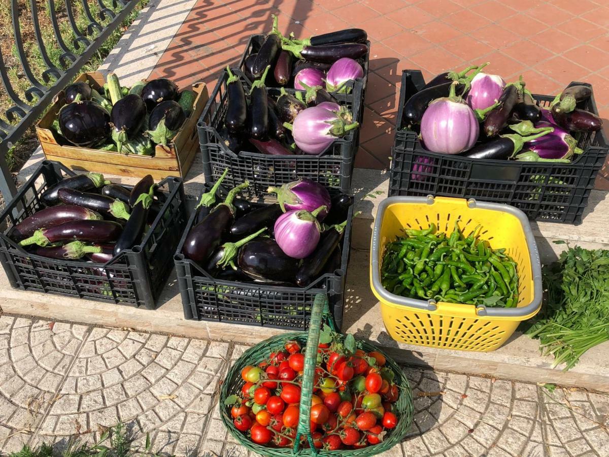 مبيت وإفطار كاستيلاّماري دي ستا Il Giardino Di Nonno Agostino المظهر الخارجي الصورة