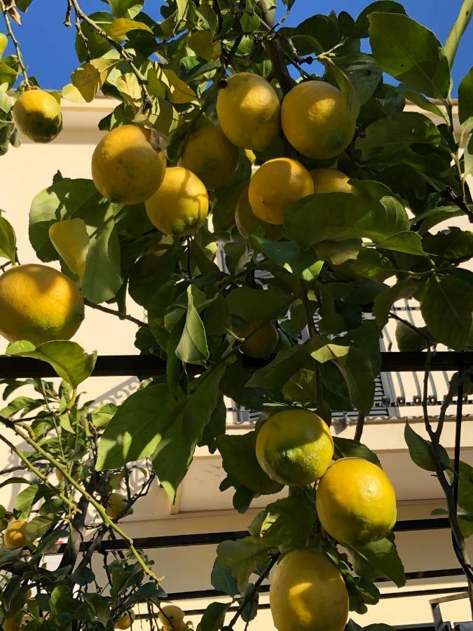 مبيت وإفطار كاستيلاّماري دي ستا Il Giardino Di Nonno Agostino المظهر الخارجي الصورة