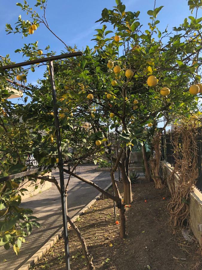 مبيت وإفطار كاستيلاّماري دي ستا Il Giardino Di Nonno Agostino المظهر الخارجي الصورة